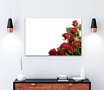 Obraz Roses of red 1438